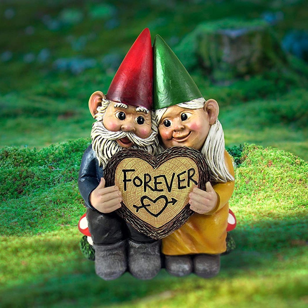 Skorter | Adorable Gnome Couple In Eternal Love