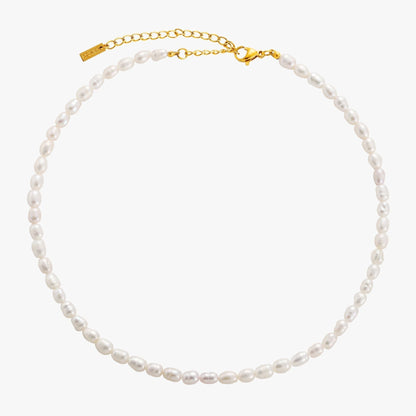 Skorter | Amélie Freshwater Pearl Choker Necklace with 18K Gold Coating