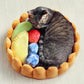 Skorter | Fruit tart Cat bed