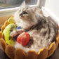 Skorter | Fruit tart Cat bed