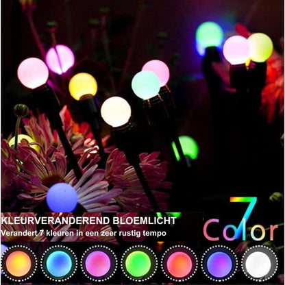 Skorter | Glimworm Lamps | Solar Energy