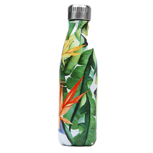 Skorter isothermal in stainless steel - The tropical art