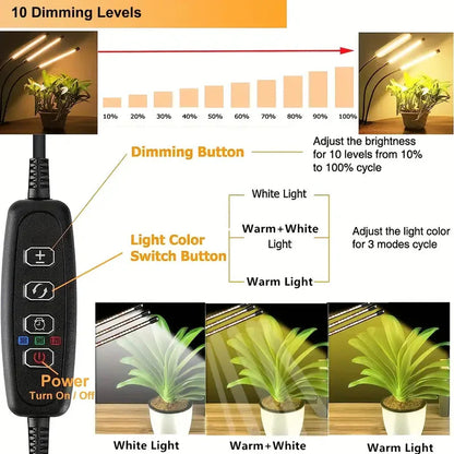 Skorter | Grow Light for Seed Starting Auto ON & OFF Full Spectrum LED Plant Light with Timer