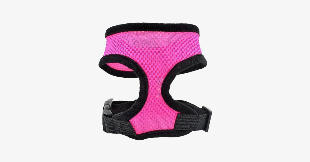 Skorter | Comfort Control Dog Harnesses