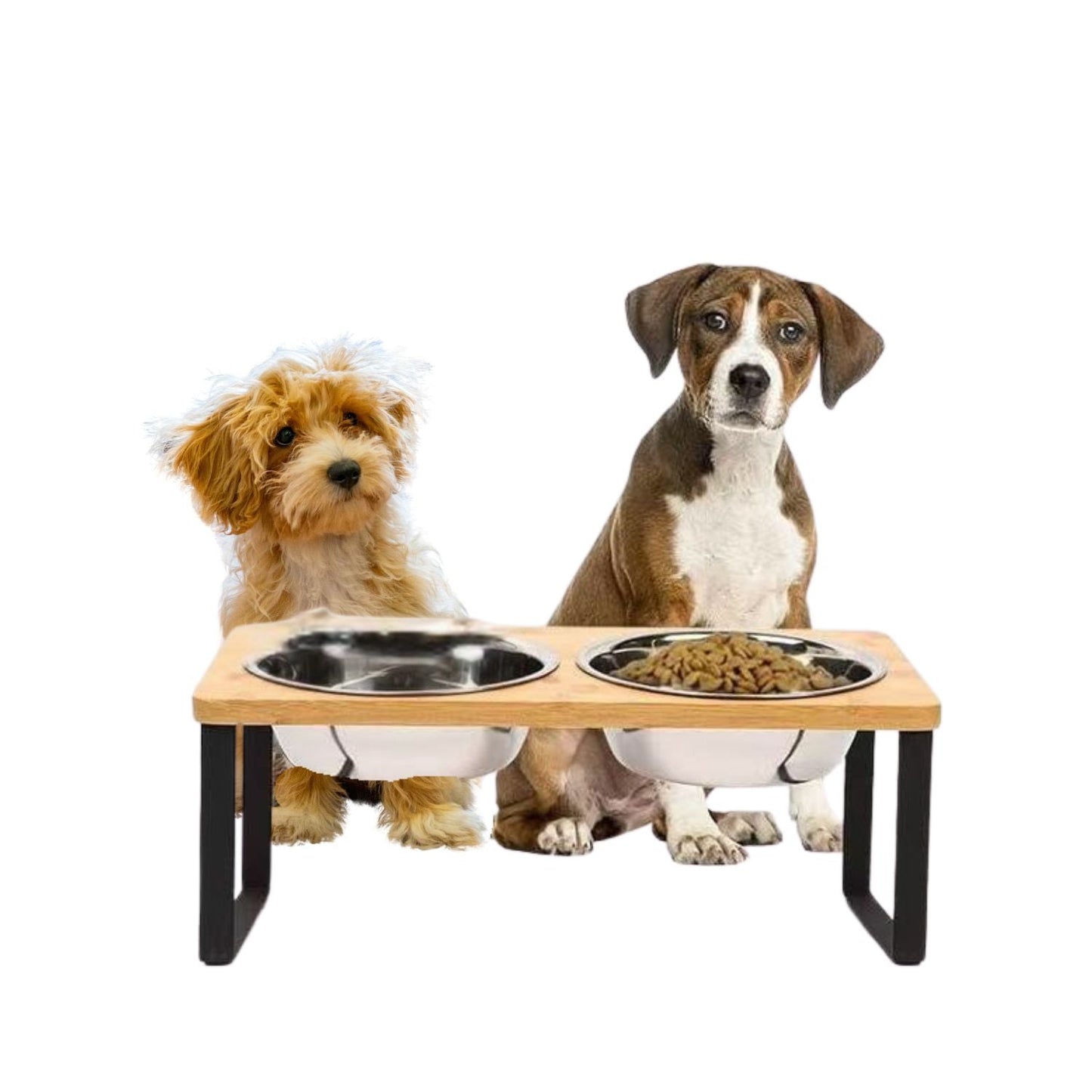 Skorter | Elevated Dog Food Bowl – Bamboo Stand with Removable Stainless Steel Bowls
