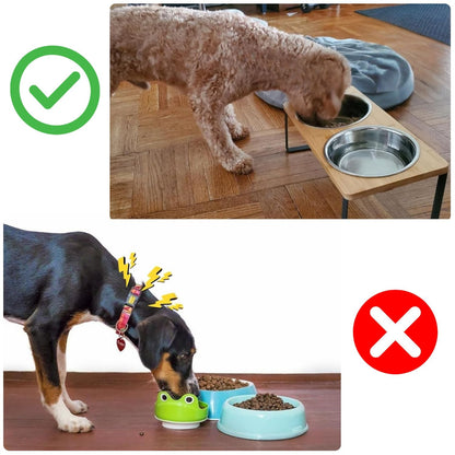 Skorter | Elevated Dog Food Bowl – Bamboo Stand with Removable Stainless Steel Bowls