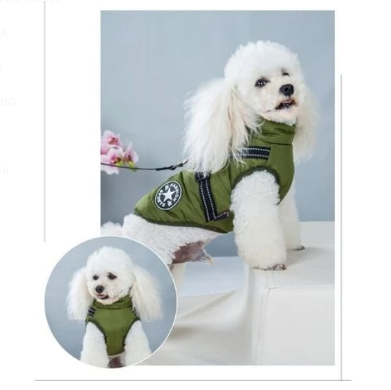 Skorter | All-Weather Dog Jacket