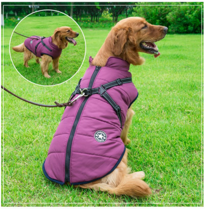 Skorter | All-Weather Dog Jacket