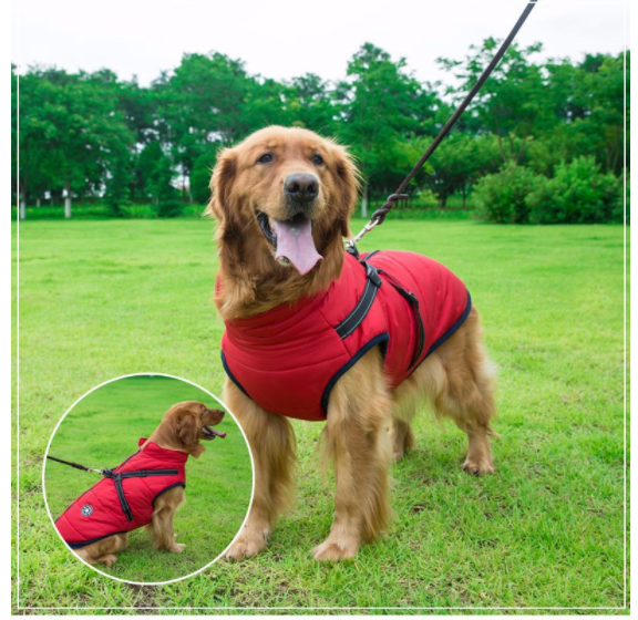 Skorter | All-Weather Dog Jacket