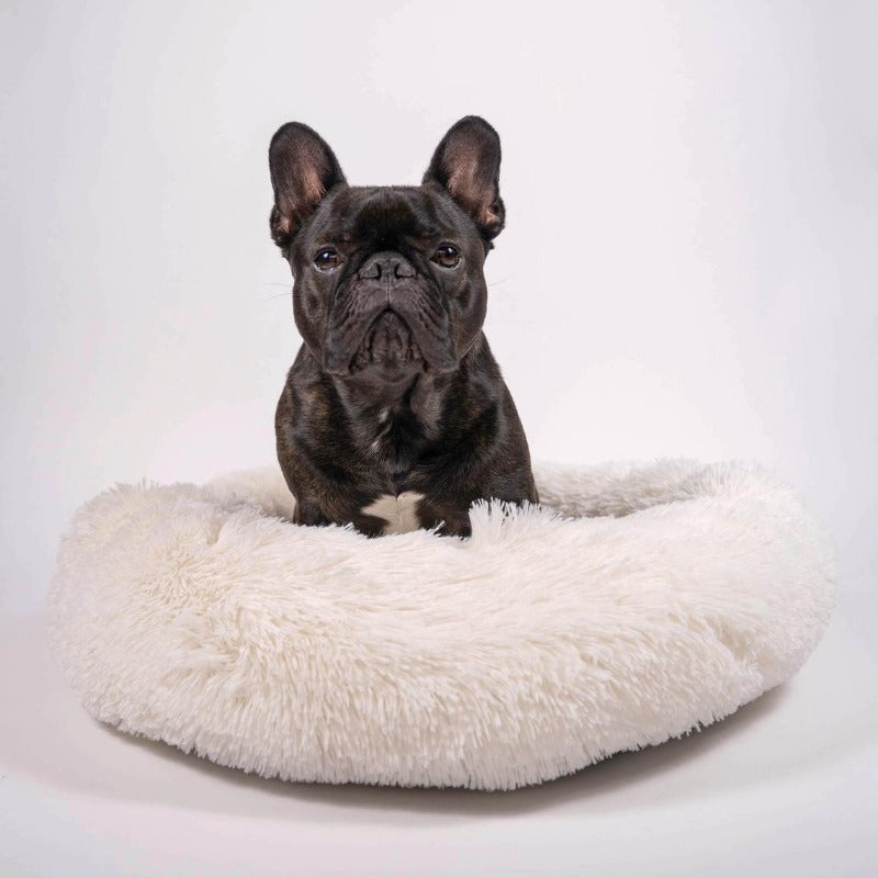 Skorter | Beef Plush Calming Donut Dog Bed for Small to Large Dogs