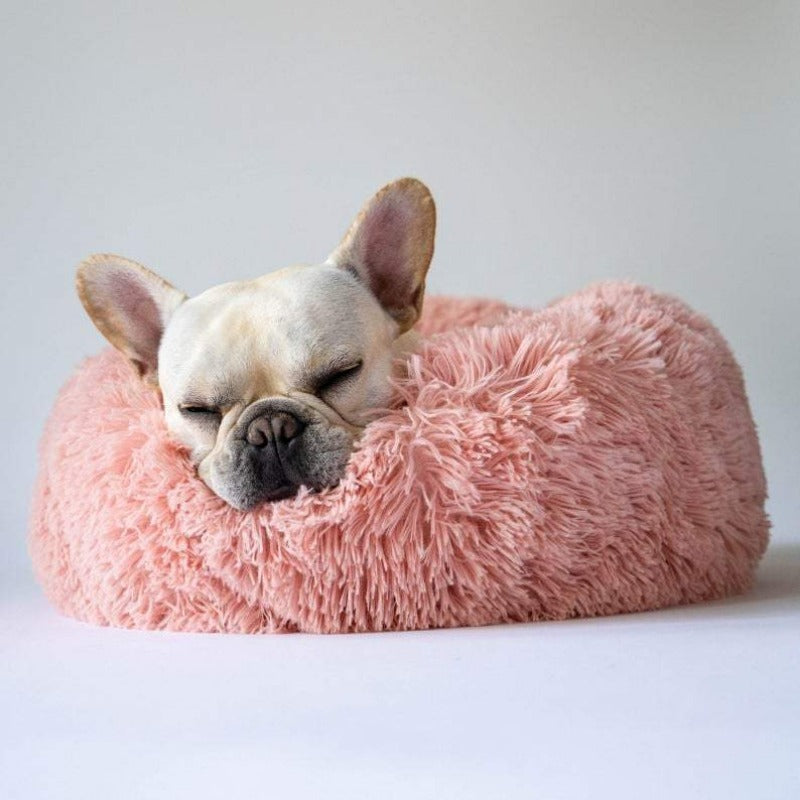 Skorter | Beef Plush Calming Donut Dog Bed for Small to Large Dogs