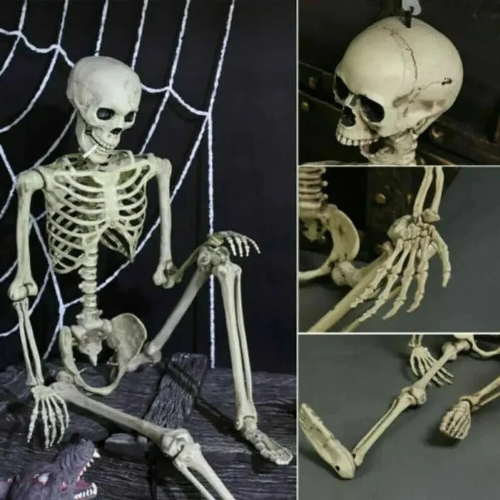 Skorter | Creepy Poseable Skeleton for Halloween Decorations