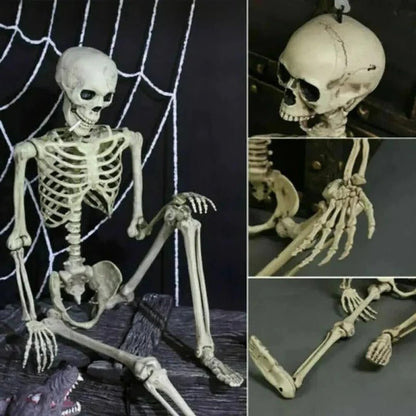 Skorter | Creepy Poseable Skeleton for Halloween Decorations