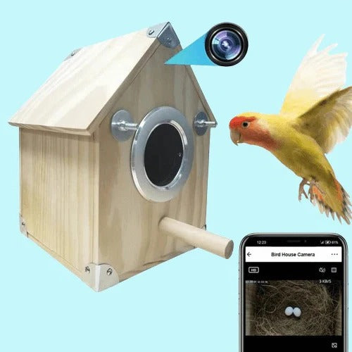 Skorter | Bird Watching Nesting Feeder Nest