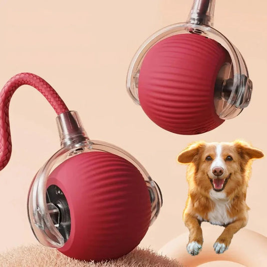 Skorter | Active Rolling Ball with Tail for Dogs