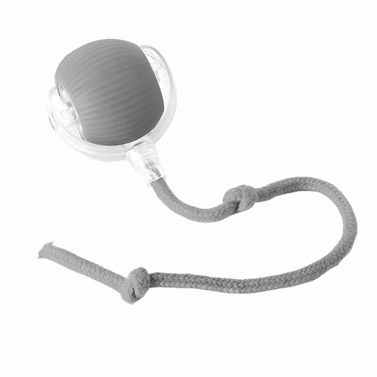 Skorter | Active Rolling Ball with Tail for Dogs