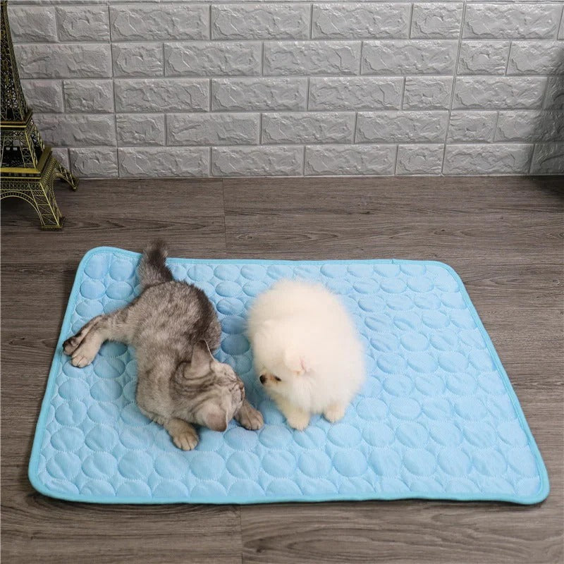 Skorter | Cooling Pad for Pets