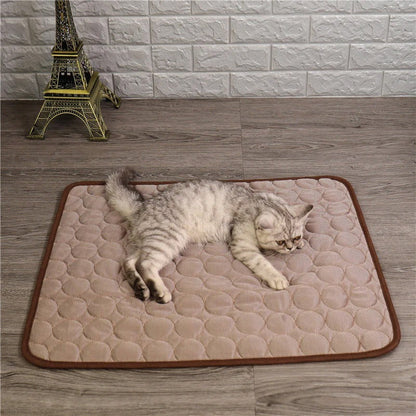 Skorter | Cooling Pad for Pets
