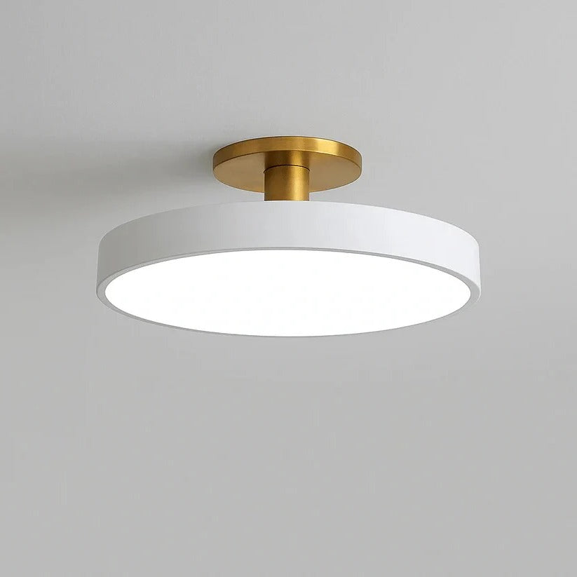 Skorter | Modern LED Ceiling Light with Flush Mount Design for Interior Spaces