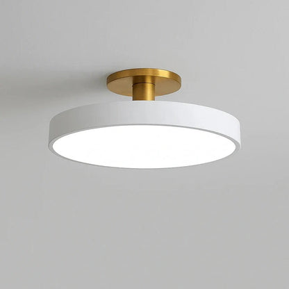 Skorter | Modern LED Ceiling Light with Flush Mount Design for Interior Spaces