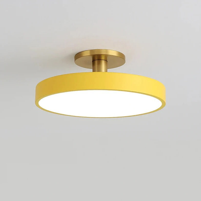 Skorter | Modern LED Ceiling Light with Flush Mount Design for Interior Spaces