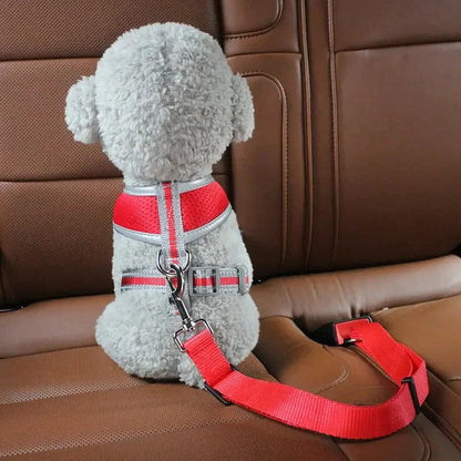 Skorter | Adjustable Dog Seat Belt