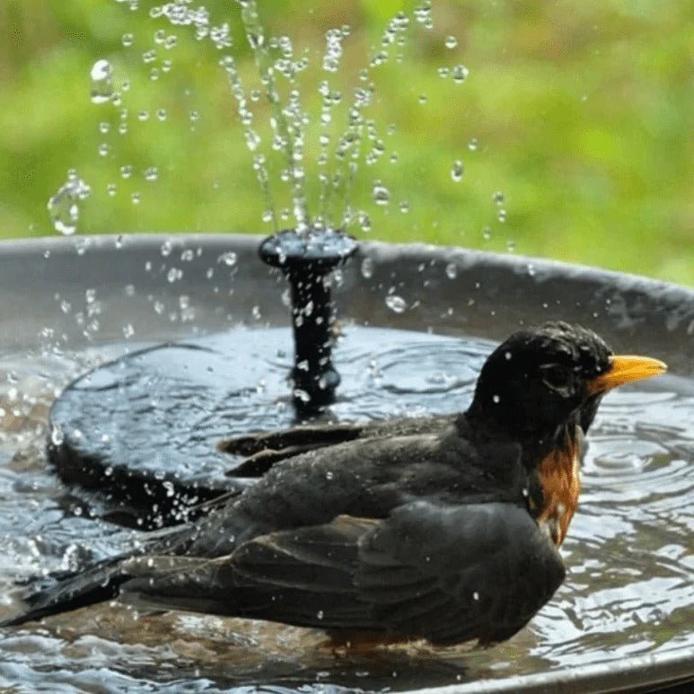 Skorter | LED Solar Energy Fountain