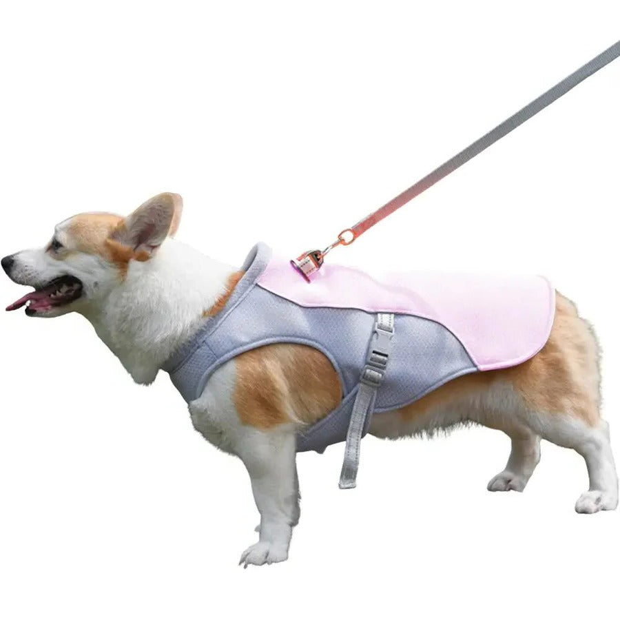 Skorter | Dog Cooling Vest for Outdoor Activities