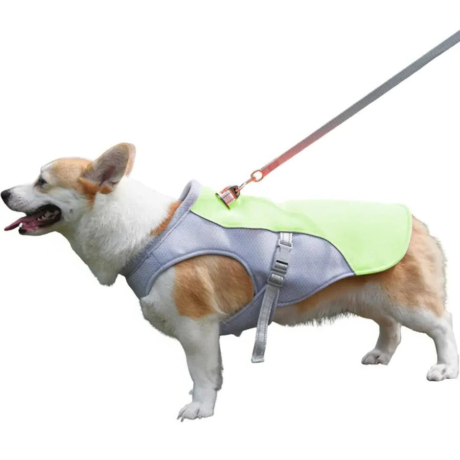 Skorter | Dog Cooling Vest for Outdoor Activities