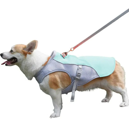 Skorter | Dog Cooling Vest for Outdoor Activities