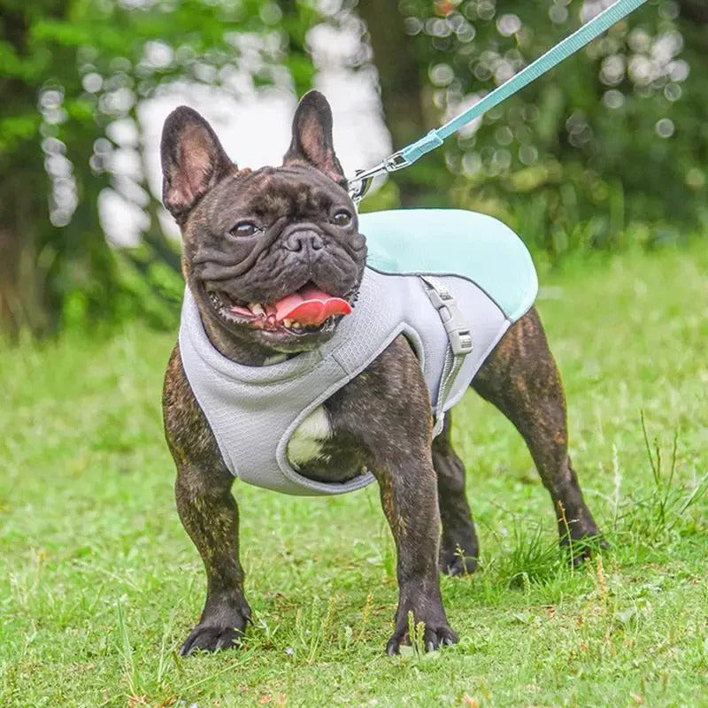 Skorter | Dog Cooling Vest for Outdoor Activities