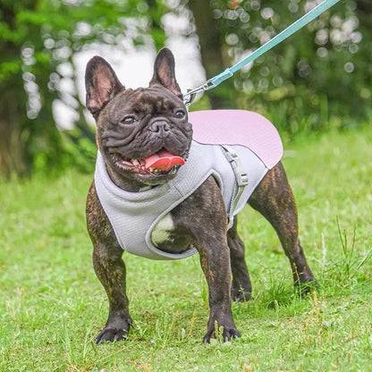 Skorter | Dog Cooling Vest for Outdoor Activities