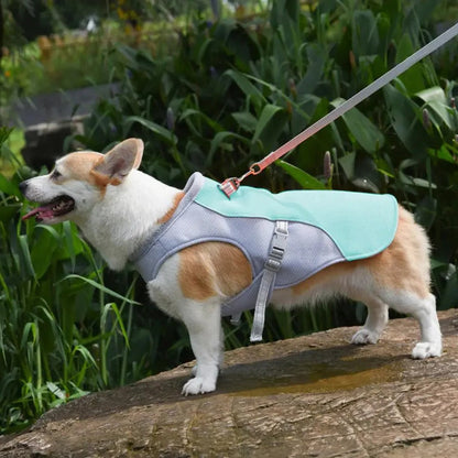 Skorter | Dog Cooling Vest for Outdoor Activities