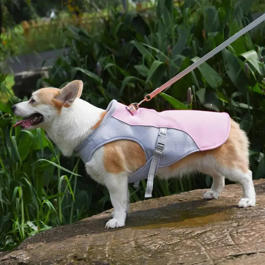 Skorter | Dog Cooling Vest for Outdoor Activities