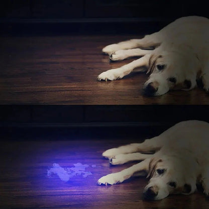 Skorter | Compact UV Blacklight Flashlight for Inspection and Cleaning Checks