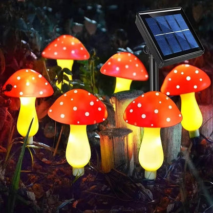 Skorter | LED Solar Lights Outdoor Decorative