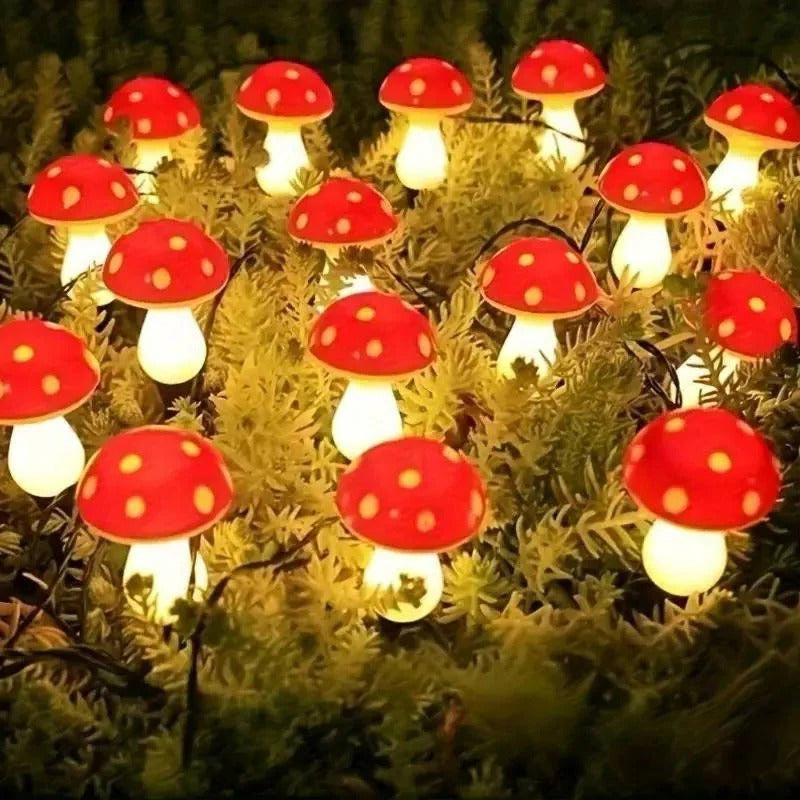 Skorter | LED Solar Lights Outdoor Decorative
