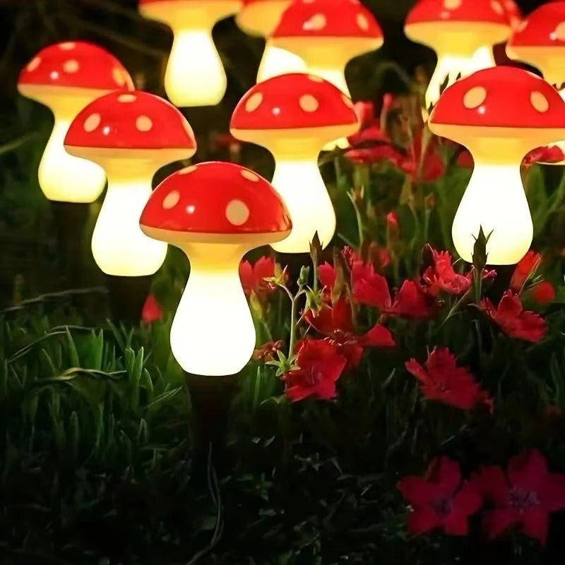 Skorter | LED Solar Lights Outdoor Decorative