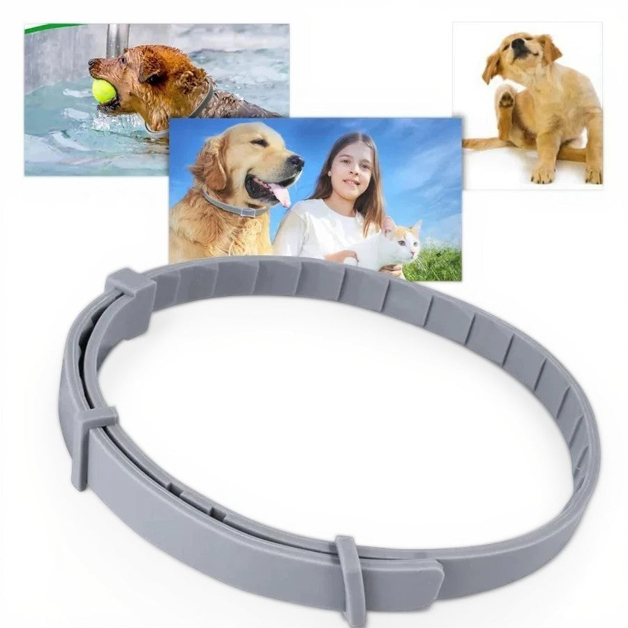 Skorter | Adjustable Pet Flea and Tick Repellent Collar – For Dogs and Cats, Water-Resistant