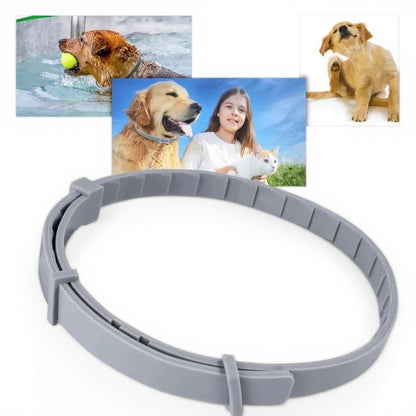 Skorter | Adjustable Pet Flea and Tick Repellent Collar – For Dogs and Cats, Water-Resistant