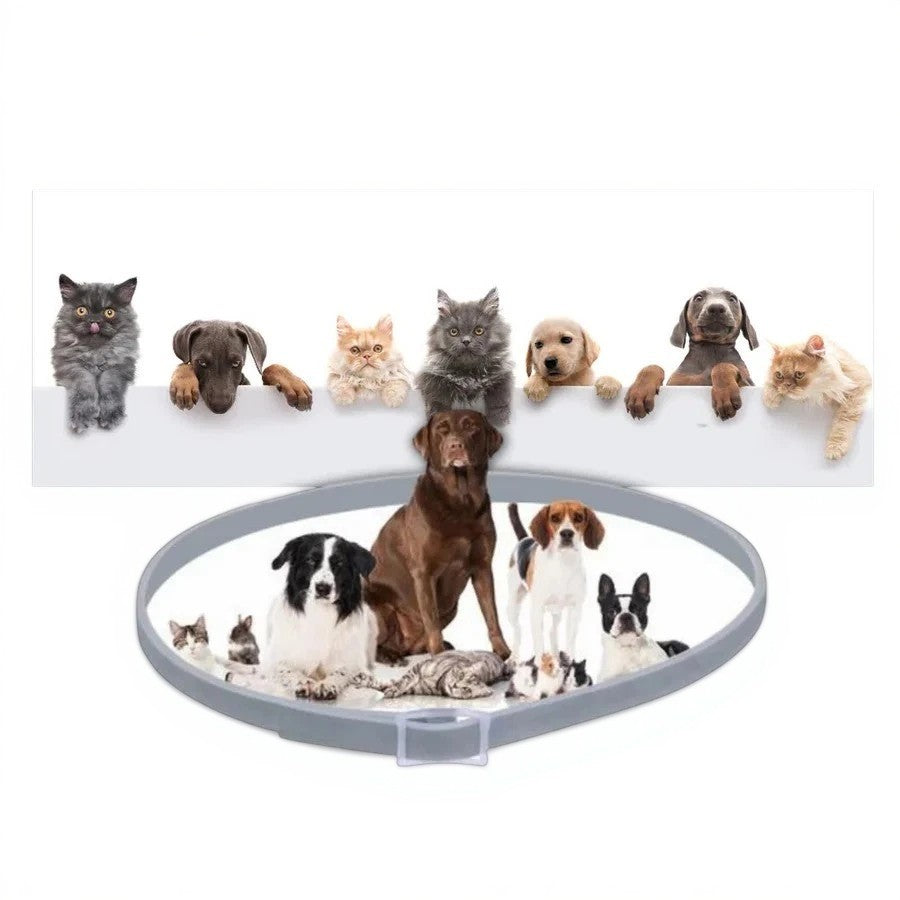 Skorter | Adjustable Pet Flea and Tick Repellent Collar – For Dogs and Cats, Water-Resistant