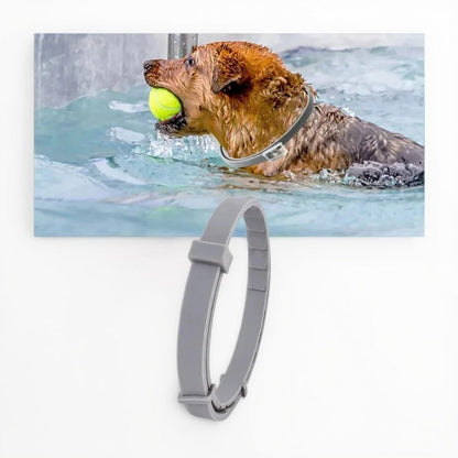 Skorter | Adjustable Pet Flea and Tick Repellent Collar – For Dogs and Cats, Water-Resistant