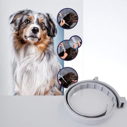 Skorter | Adjustable Pet Flea and Tick Repellent Collar – For Dogs and Cats, Water-Resistant