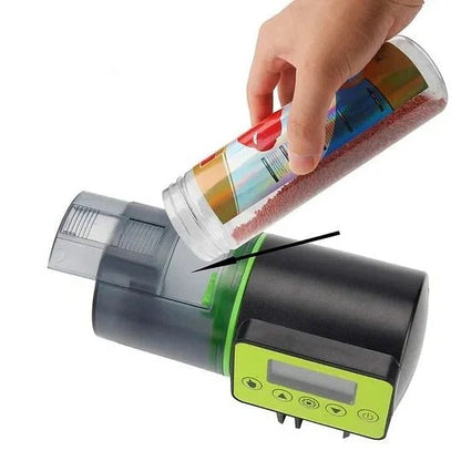 Skorter | Automatic Fish Feeder