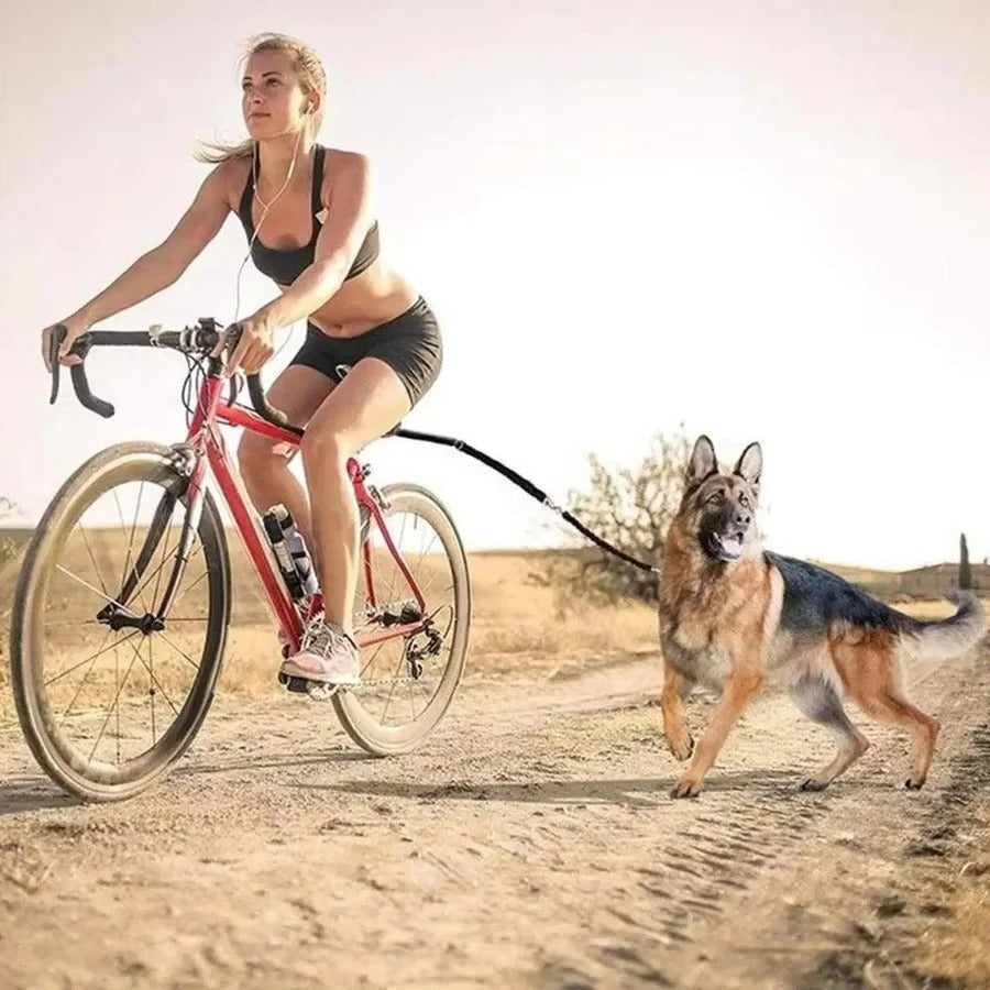 Skorter | Bike Dog Tow Leash