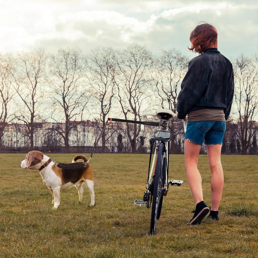Skorter | Bike Dog Tow Leash