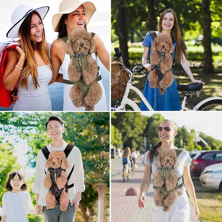 Skorter | Dog Carrying Backpack