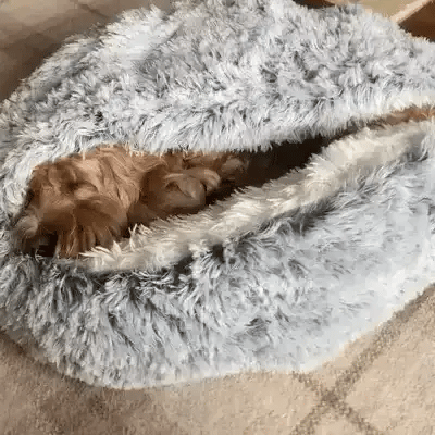 Skorter | Cozy Cave Pet Bed | Calming & Comfortable Dog Bed for Deep Relaxation