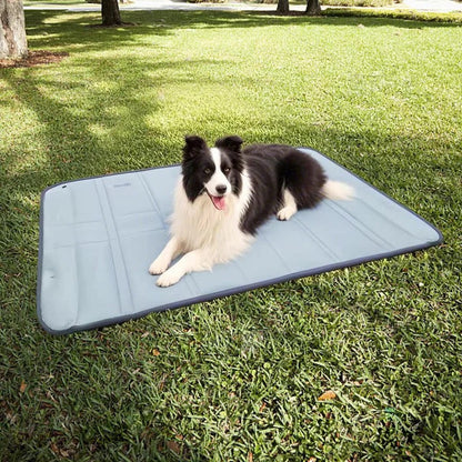 Skorter | Dog Bag for Travel