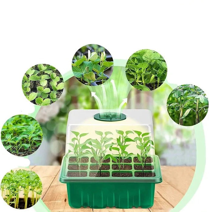Skorter | Household New Nursery Pot With Lamp